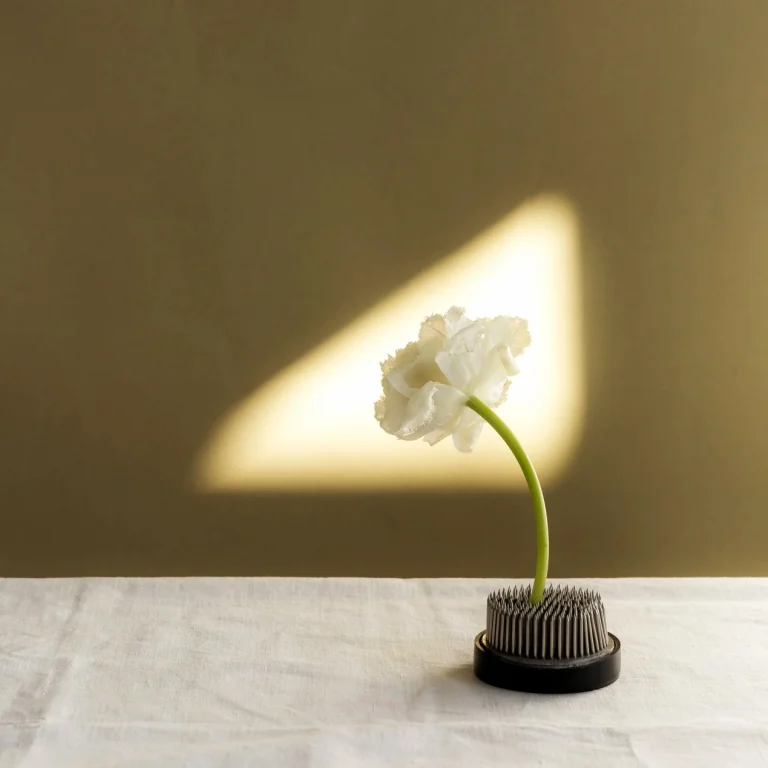 The quiet power of light: how it shapes the mood of a home